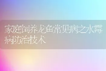 家庭饲养龙鱼常见病之水霉病防治技术