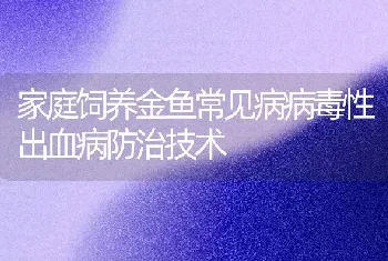 家庭饲养金鱼常见病病毒性出血病防治技术