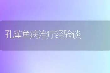 孔雀鱼病治疗经验谈