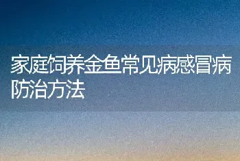 家庭饲养金鱼常见病感冒病防治方法