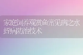 家庭饲养观赏鱼常见病之水蛭病防治技术