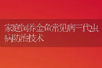 家庭饲养金鱼常见病三代虫病防治技术