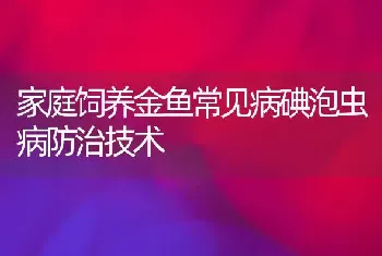 家庭饲养金鱼常见病碘泡虫病防治技术