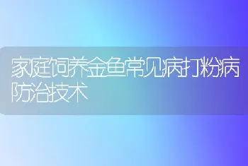 家庭饲养金鱼常见病打粉病防治技术