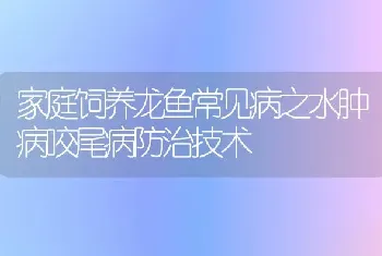 家庭饲养龙鱼常见病之水肿病咬尾病防治技术