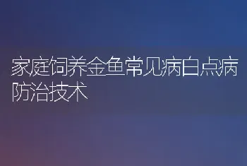 家庭饲养金鱼常见病白点病防治技术