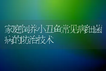 家庭饲养小丑鱼常见病细菌病的防治技术