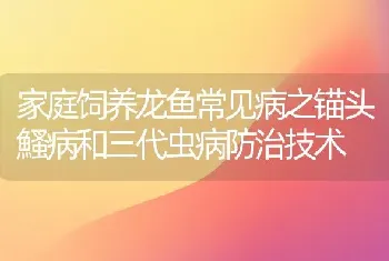 家庭饲养龙鱼常见病之锚头鰠病和三代虫病防治技术