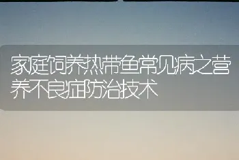 家庭饲养热带鱼常见病之营养不良症防治技术