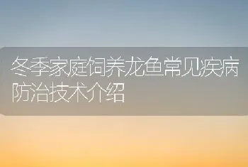 冬季家庭饲养龙鱼常见疾病防治技术介绍