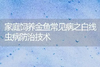 家庭饲养金鱼常见病之白线虫病防治技术