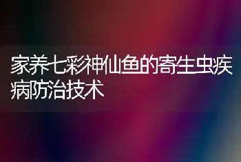 家养七彩神仙鱼的寄生虫疾病防治技术