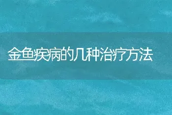 金鱼疾病的几种治疗方法