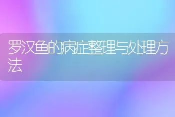 罗汉鱼的病症整理与处理方法