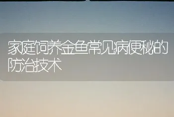 家庭饲养金鱼常见病便秘的防治技术