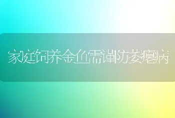 家庭饲养金鱼需谨防萎瘪病