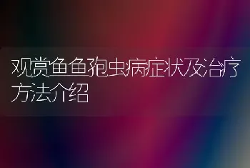 观赏鱼鱼孢虫病症状及治疗方法介绍