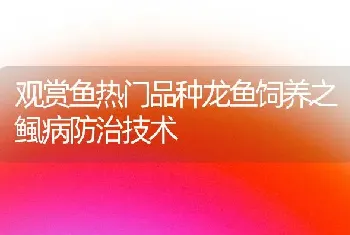 观赏鱼热门品种龙鱼饲养之鲺病防治技术