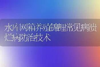 水库网箱养殖锦鲤常见病溃烂病防治技术