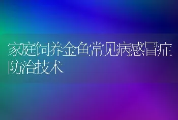 家庭饲养金鱼常见病感冒症防治技术