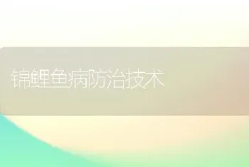 锦鲤鱼病防治技术