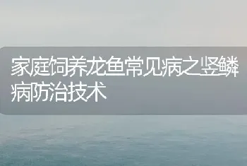 家庭饲养龙鱼常见病之竖鳞病防治技术