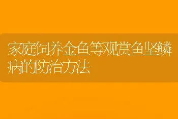 家庭饲养金鱼等观赏鱼坚鳞病的防治方法