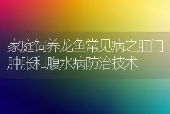 家庭饲养龙鱼常见病之肛门肿胀和腹水病防治技术