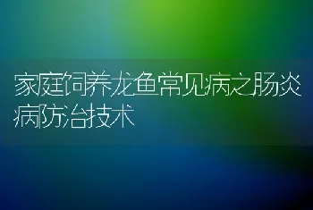 家庭饲养龙鱼常见病之肠炎病防治技术