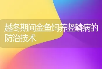 越冬期间金鱼饲养竖鳞病的防治技术