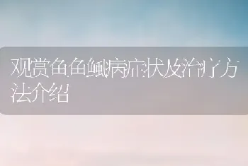 观赏鱼鱼鲺病症状及治疗方法介绍