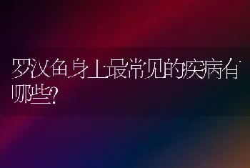 罗汉鱼身上最常见的疾病有哪些?