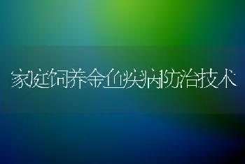 家庭饲养金鱼疾病防治技术