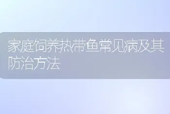 家庭饲养热带鱼常见病及其防治方法