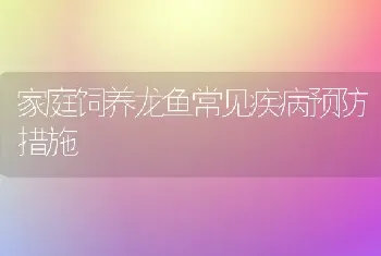 家庭饲养龙鱼常见疾病预防措施