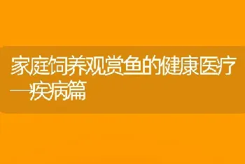 家庭饲养观赏鱼的健康医疗─疾病篇