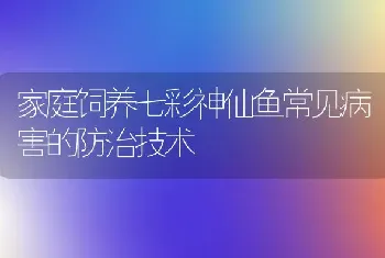 家庭饲养七彩神仙鱼常见病害的防治技术