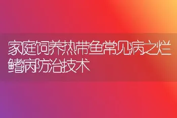 家庭饲养热带鱼常见病之烂鳍病防治技术