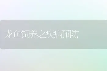 龙鱼饲养之疾病预防